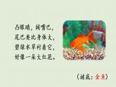部编版四年级语文上册 第二单元 习作：小小“动物园” 课件