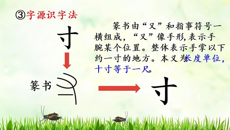 部编版四年级语文上册 第三单元 11.蟋蟀的住宅 课件08