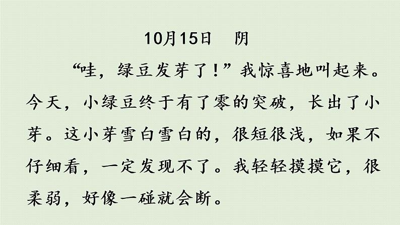 部编版四年级语文上册 第三单元 习作 课件07