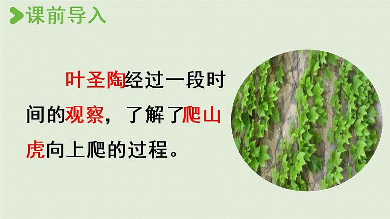 部编版四年级语文上册 第三单元 习作 课件02