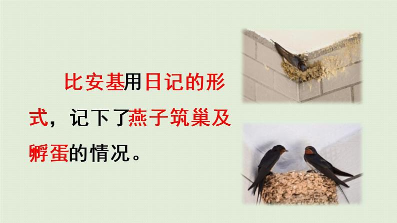 部编版四年级语文上册 第三单元 习作 课件04