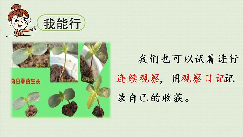 部编版四年级语文上册 第三单元 习作 课件05