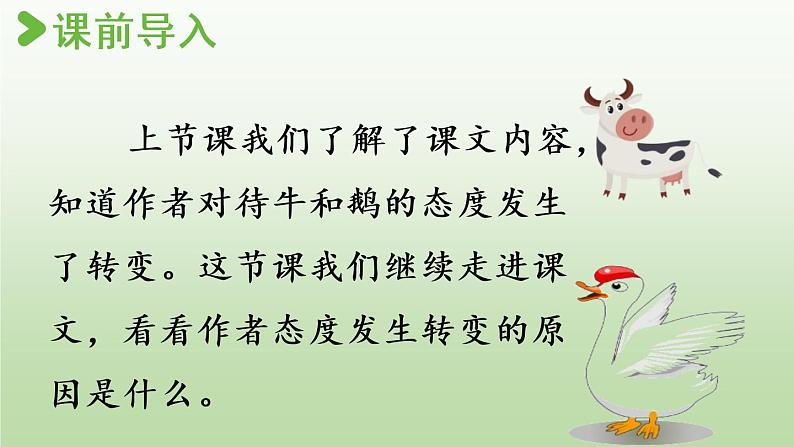 部编版四年级语文上册 第六单元 18.牛和鹅 课件02