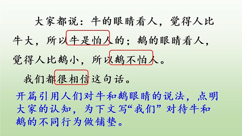 部编版四年级语文上册 第六单元 18.牛和鹅 课件04