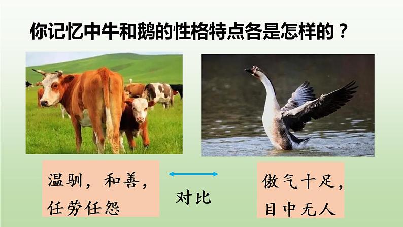 部编版四年级语文上册 第六单元 18.牛和鹅 课件05