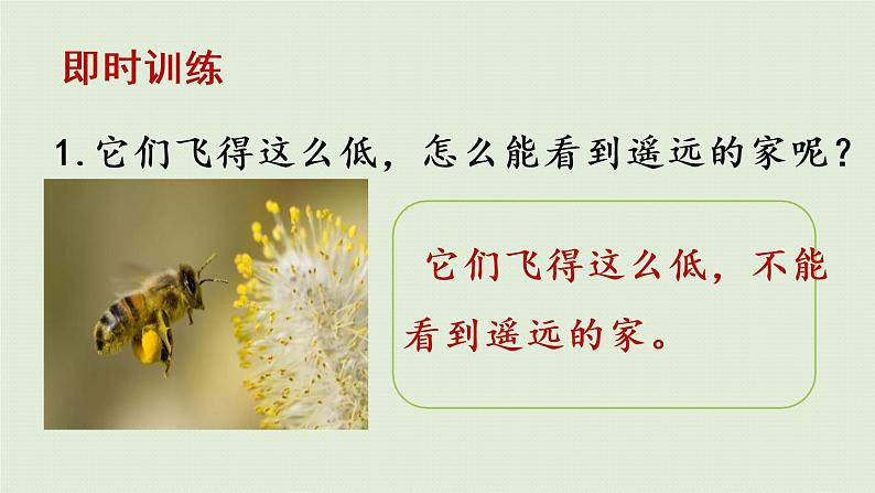 部编版四年级语文上册 第七单元 语文园地 课件08