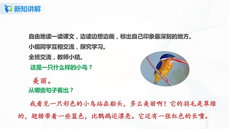 小学语文人教部编版三年级上册 15《搭船的鸟》（含课件、教案、同步练习）05