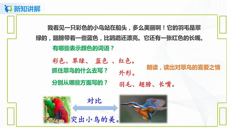 小学语文人教部编版三年级上册 15《搭船的鸟》（含课件、教案、同步练习）06