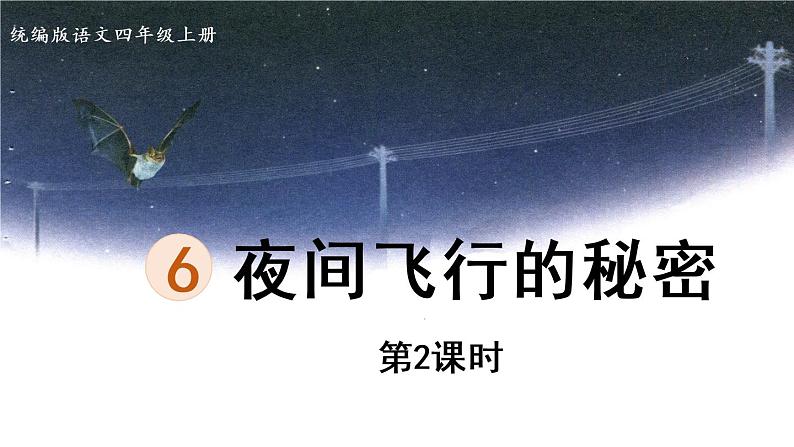 部编版四年级语文上册 第二单元 6.夜间飞行的秘密 课件01