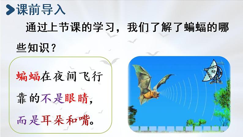 部编版四年级语文上册 第二单元 6.夜间飞行的秘密 课件02
