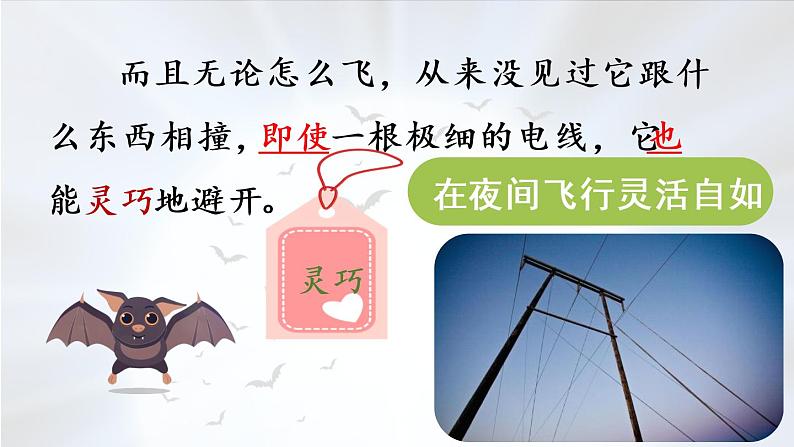 部编版四年级语文上册 第二单元 6.夜间飞行的秘密 课件07