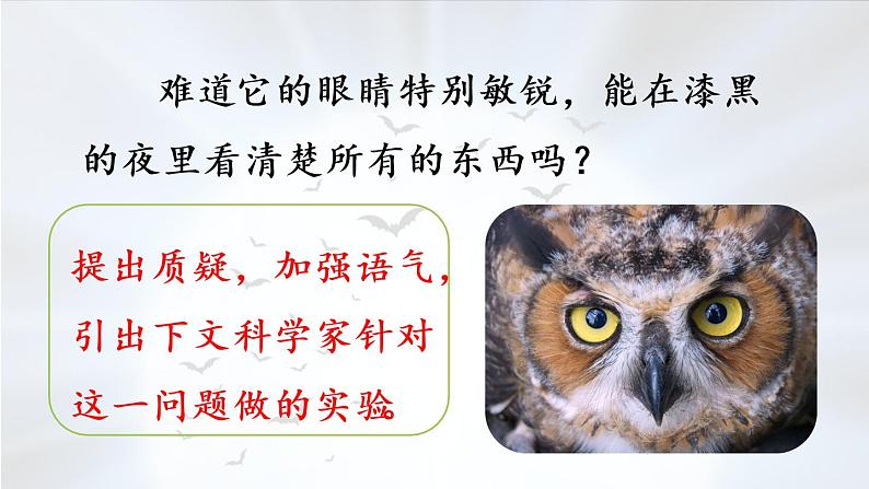 部编版四年级语文上册 第二单元 6.夜间飞行的秘密 课件08