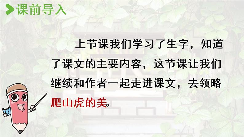 部编版四年级语文上册 第三单元 10.爬山虎的脚 课件02