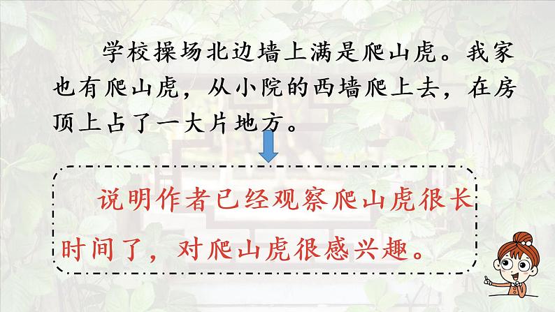 部编版四年级语文上册 第三单元 10.爬山虎的脚 课件05