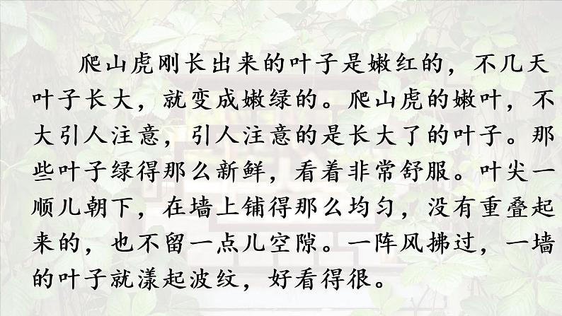 部编版四年级语文上册 第三单元 10.爬山虎的脚 课件07