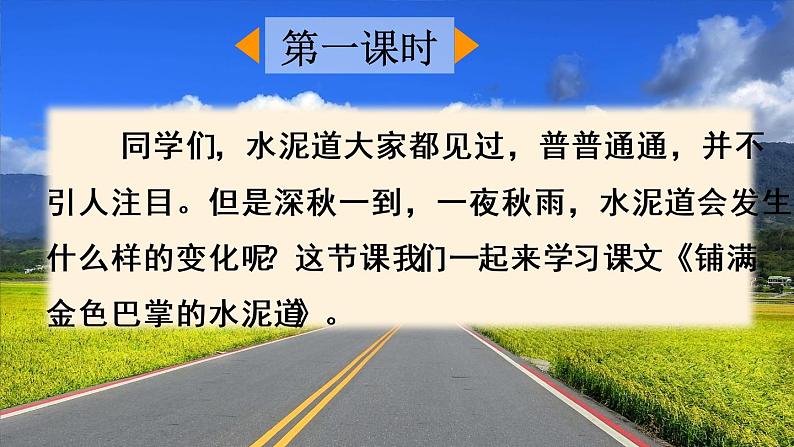 小学语文人教部编版三年级上册 5 铺满金色巴掌的水泥道教学课件02