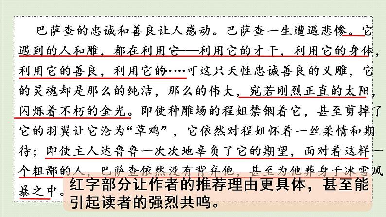 部编版五年级语文上册 第八单元 习作：推荐一本书 课件04