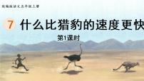 语文7 什么比猎豹的速度更快评课课件ppt