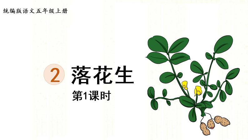 部编版五年级语文上册 第一单元 2.落花生 课件01