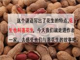 部编版五年级语文上册 第一单元 2.落花生 课件