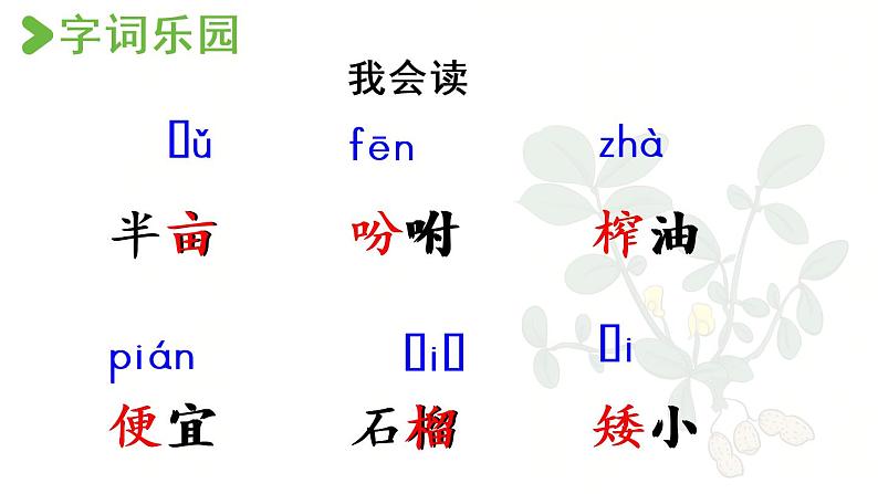 部编版五年级语文上册 第一单元 2.落花生 课件06