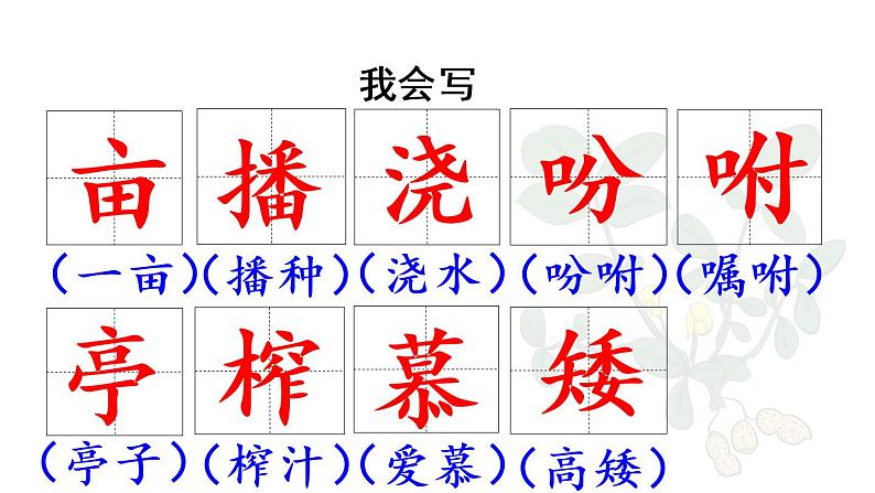 部编版五年级语文上册 第一单元 2.落花生 课件08