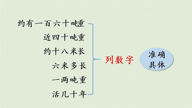 鲸PPT课件免费下载08