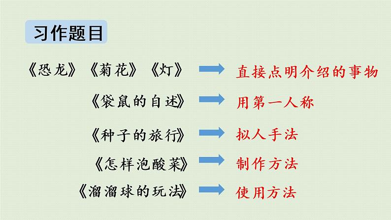 鲸PPT课件免费下载08