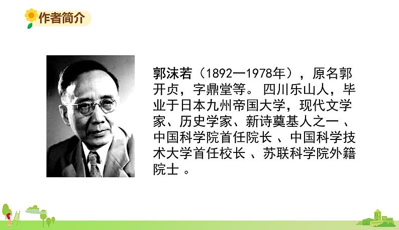 部编语文五年级上册 1 《白鹭》PPT课件+素材04