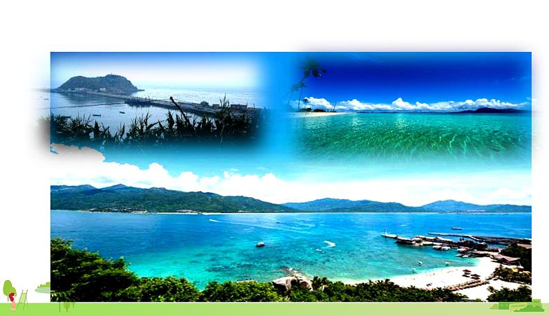 部编语文五年级上册 15 《小岛》PPT课件+素材03