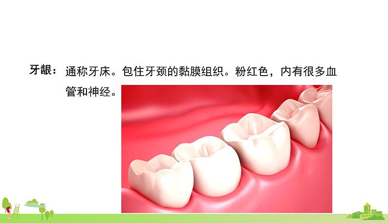 部编语文五年级上册 15 《小岛》PPT课件+素材07