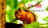 语文人教部编版17 松鼠课文配套ppt课件
