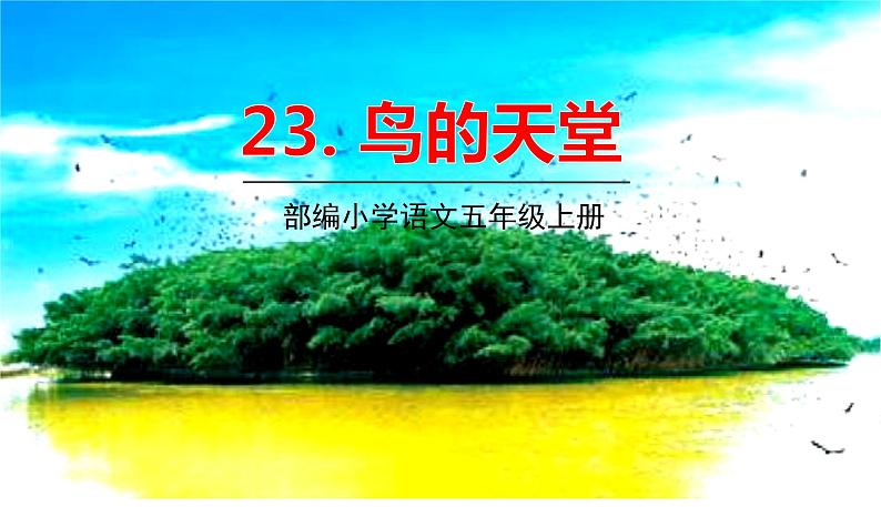 部编语文五年级上册 23 《鸟的天堂》PPT课件+素材01