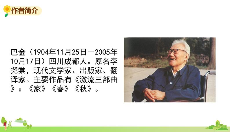 部编语文五年级上册 23 《鸟的天堂》PPT课件+素材03