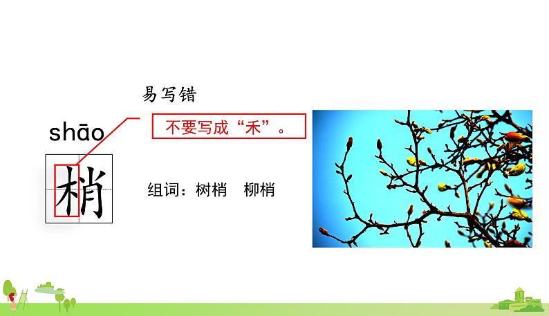 部编语文五年级上册 23 《鸟的天堂》PPT课件+素材07