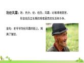 部编语文六年级上册 27.《我的伯父鲁迅先生》PPT课件