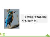 部編版語文三年級上冊 《交流平臺五》PPT課件