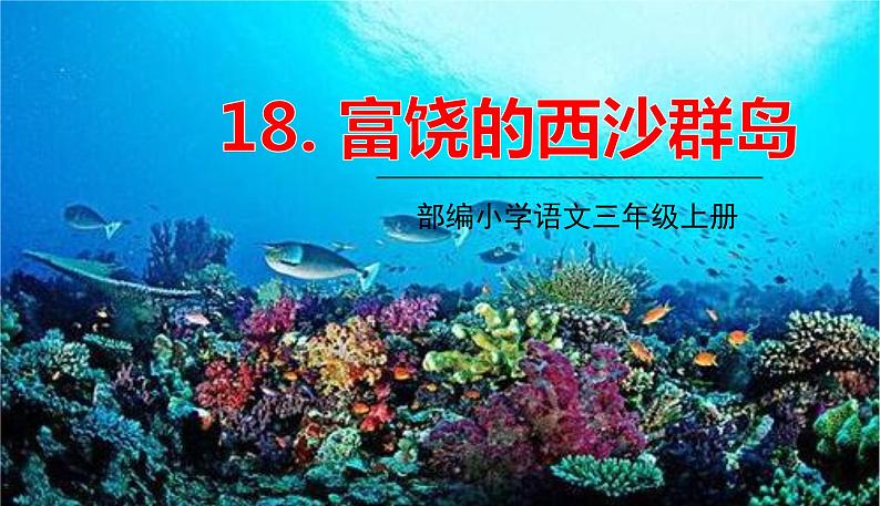 18.富饶的西沙群岛第1页