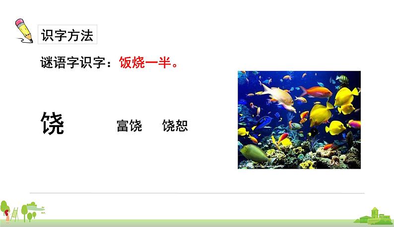 18.富饶的西沙群岛第5页