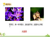 部編版語文三年級上冊 22.《讀不完的大書》PPT課件