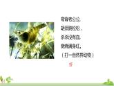 部编版语文三年级上册 22.《读不完的大书》PPT课件