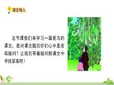 部編版語(yǔ)文三年級(jí)上冊(cè) 23.《父親、樹(shù)林和鳥(niǎo)》PPT課件+素材