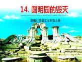 部编语文五年级上册 14 《圆明园的毁灭》PPT课件+素材