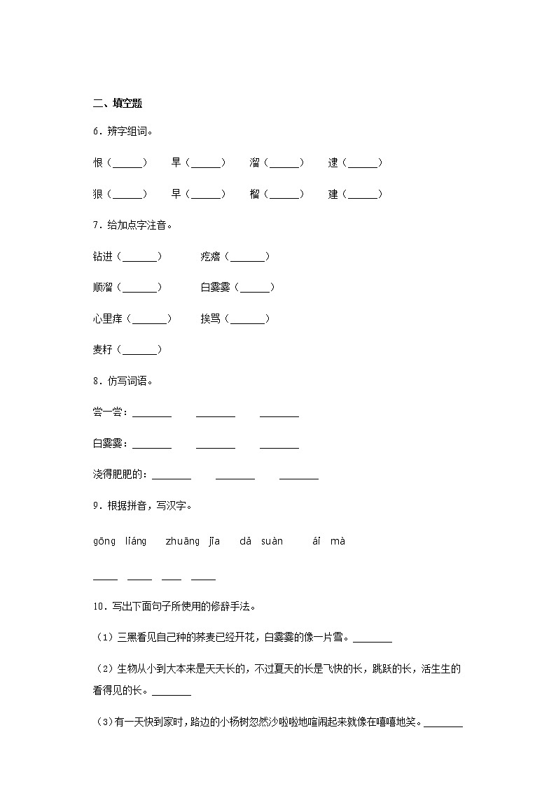暑假提前学——部编版六年级上（每日一练）三黑和土地第2页
