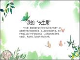 2021部编版小学语文五年级上册第27课《我的长生果》课件