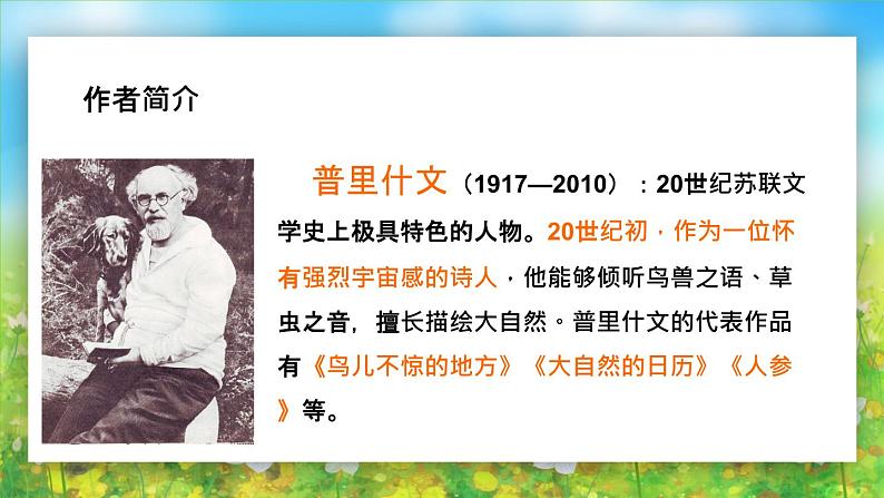 2021部编版小学语文三年级上册《金色的草地》课件05