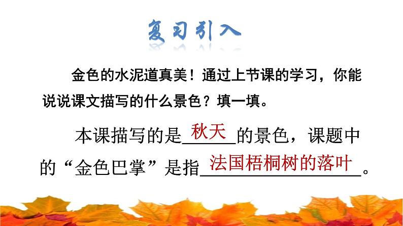 部编版三年级上册语文授课课件 第2单元 5.《铺满金色巴掌的水泥道》品读释疑课件02