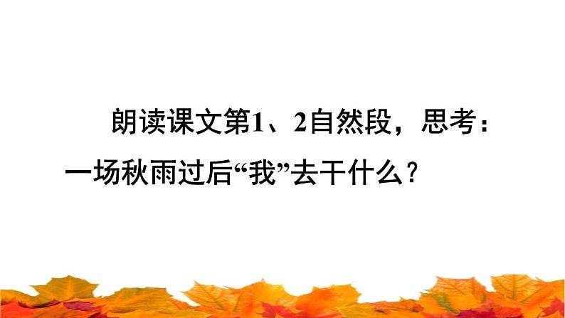 部编版三年级上册语文授课课件 第2单元 5.《铺满金色巴掌的水泥道》品读释疑课件05