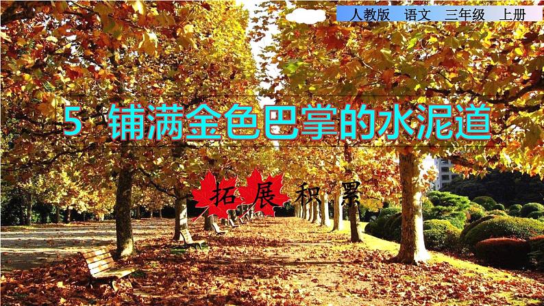 部编版三年级上册语文授课课件 第2单元 5.铺满金色巴掌的水泥道拓展积累课件01