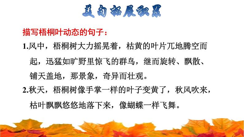 部编版三年级上册语文授课课件 第2单元 5.铺满金色巴掌的水泥道拓展积累课件04